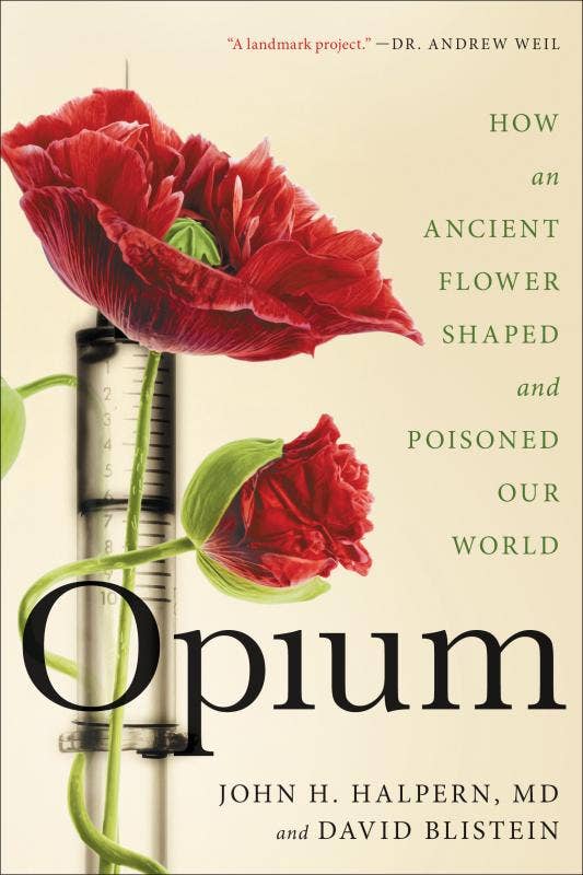 Opium: How an Ancient Flower Shaped and Poisoned Our World