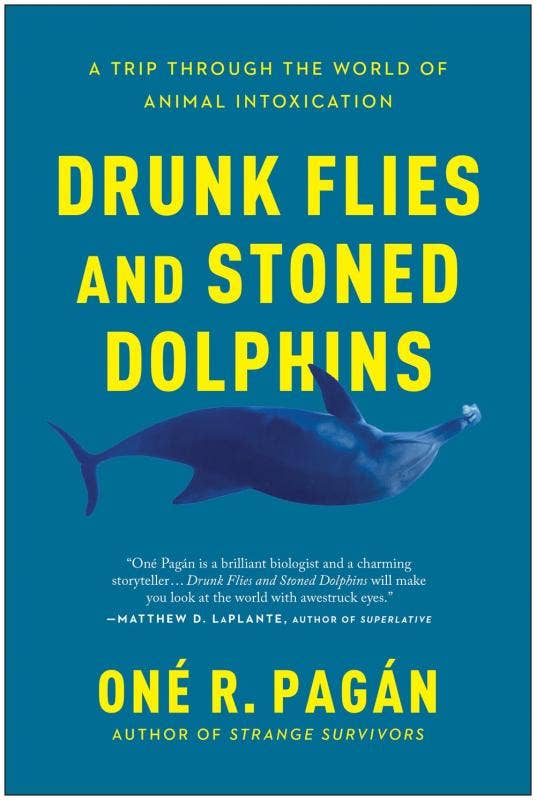 Microcosm Publishing & Distribution - Drunk Flies and Stoned Dolphins: Animal Intoxication