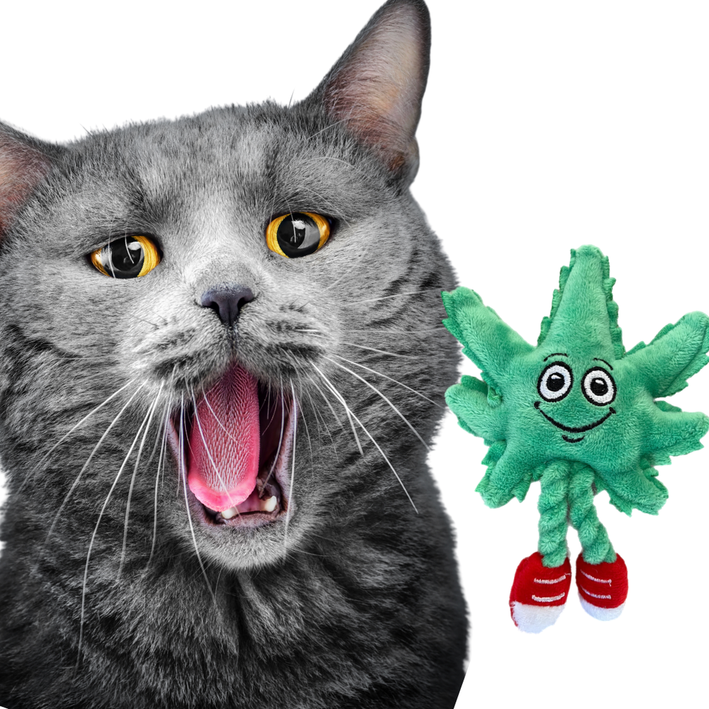 Lil' MJ the Weed Leaf 420 Cat Toy
