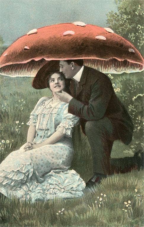 LS-176 Couple Under Giant Poison Mushroom - Vintage Image, Art Print