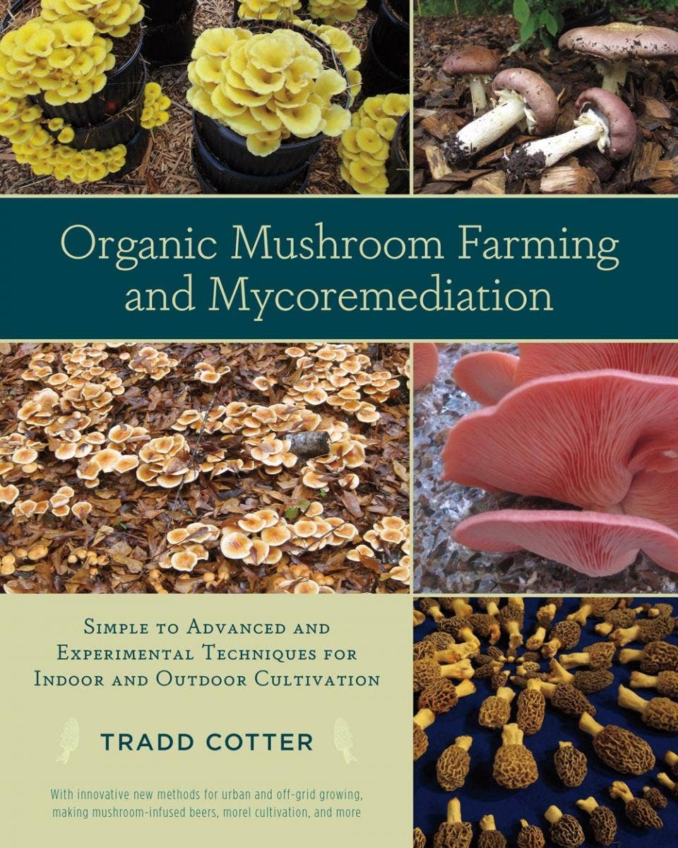 Organic Mushroom Farming and Mycoremediation