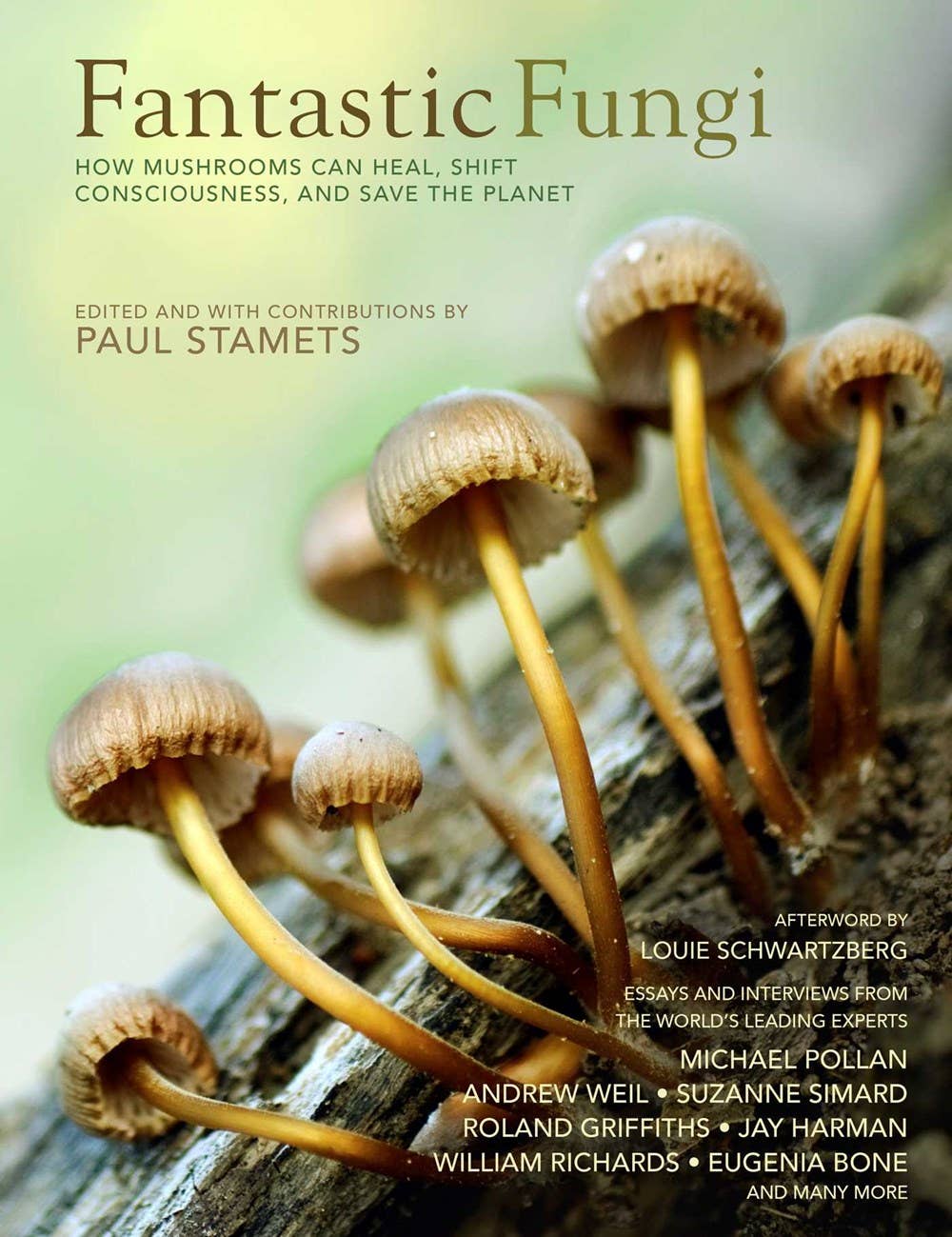 Fantastic Fungi: Expanding Consciousness Alternative Healing