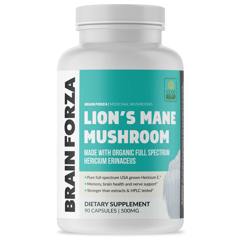 Brain Forza - Organic Lion's Mane Mushroom