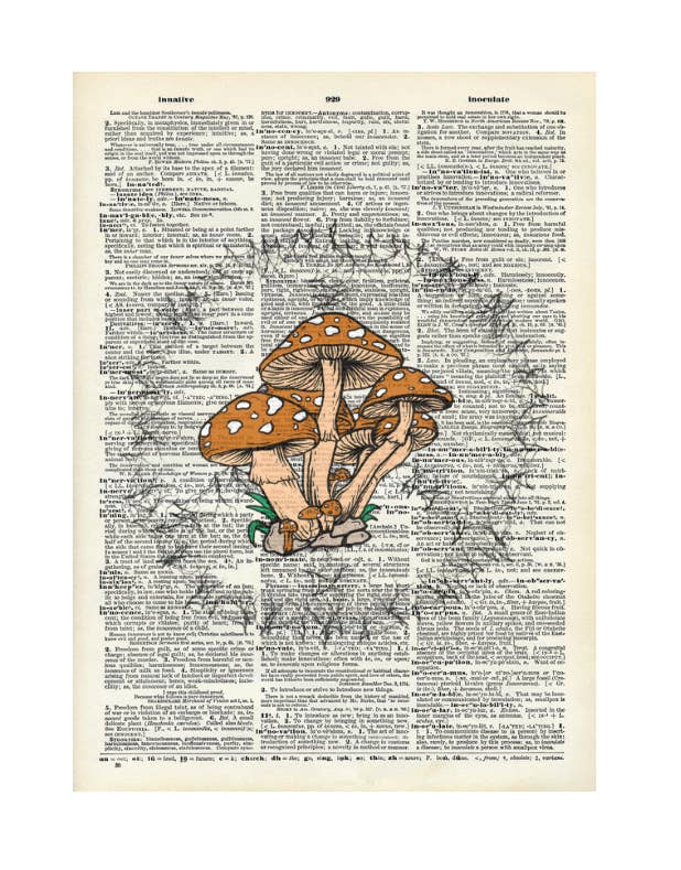 Crazilyhumbledesigns - Mushroom, trippy, Vintage Dictionary Print