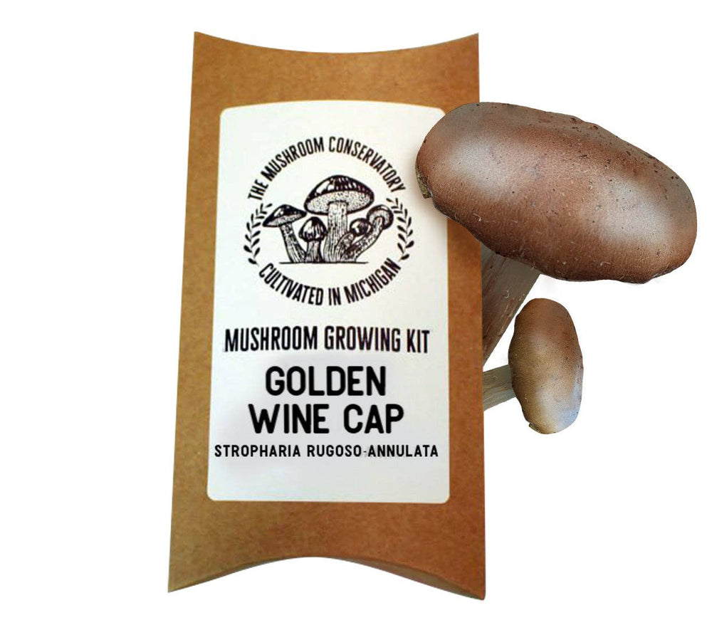 Golden Wine Cap Gourmet Mushroom Grow Kit - The Gardener's Mushroom